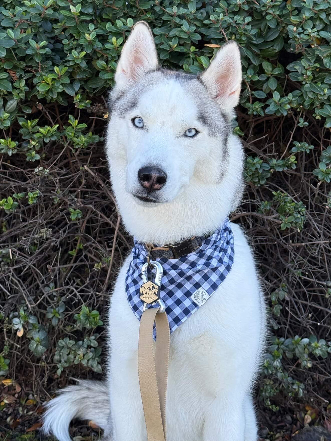 Winter Ambassador 2025