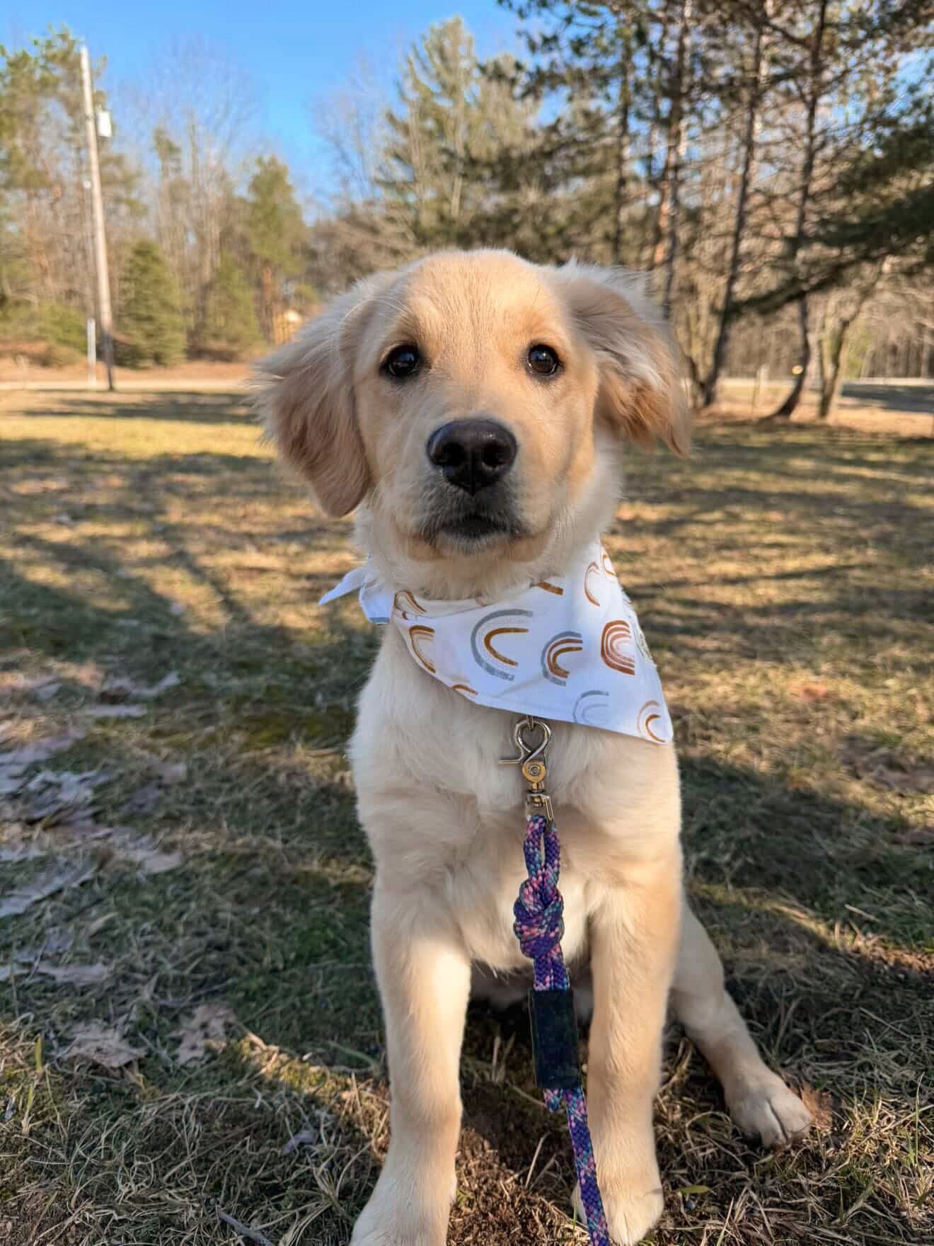 Spring 2026 Ambassador
