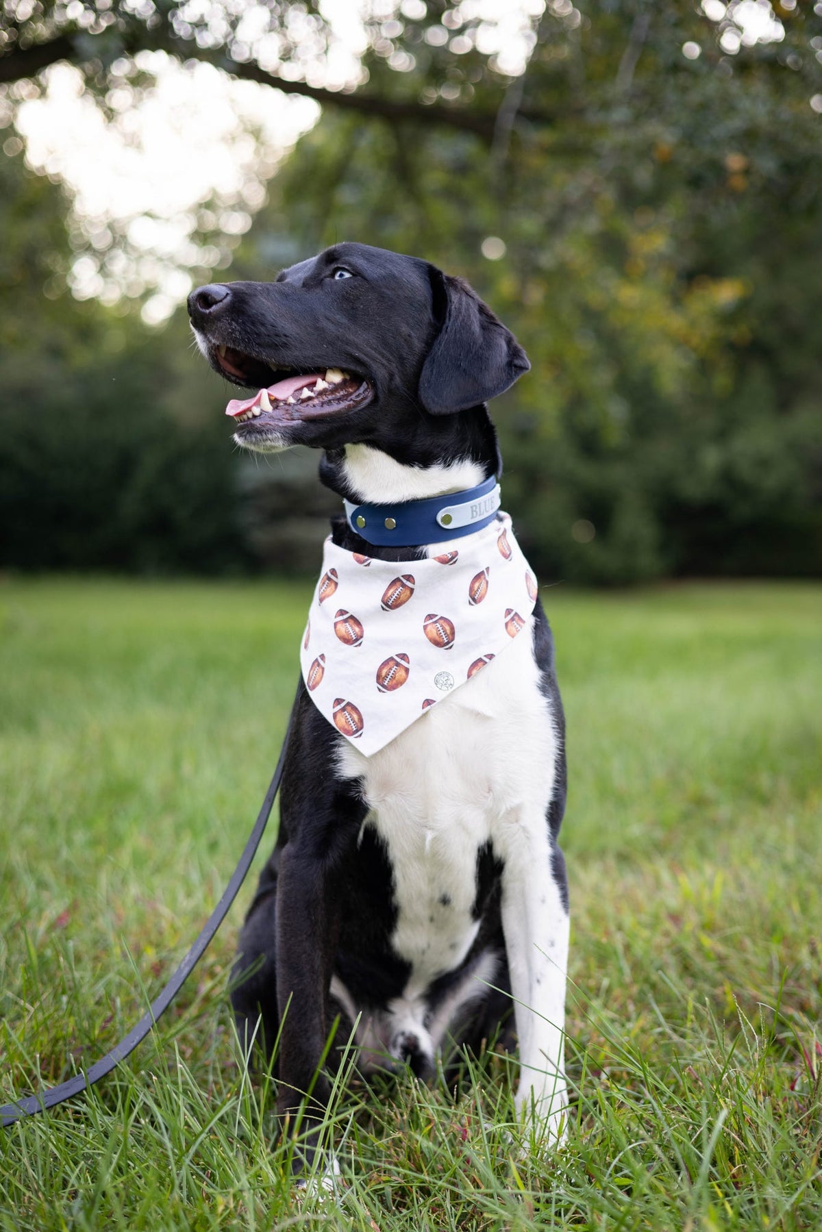 Sports Bandanas