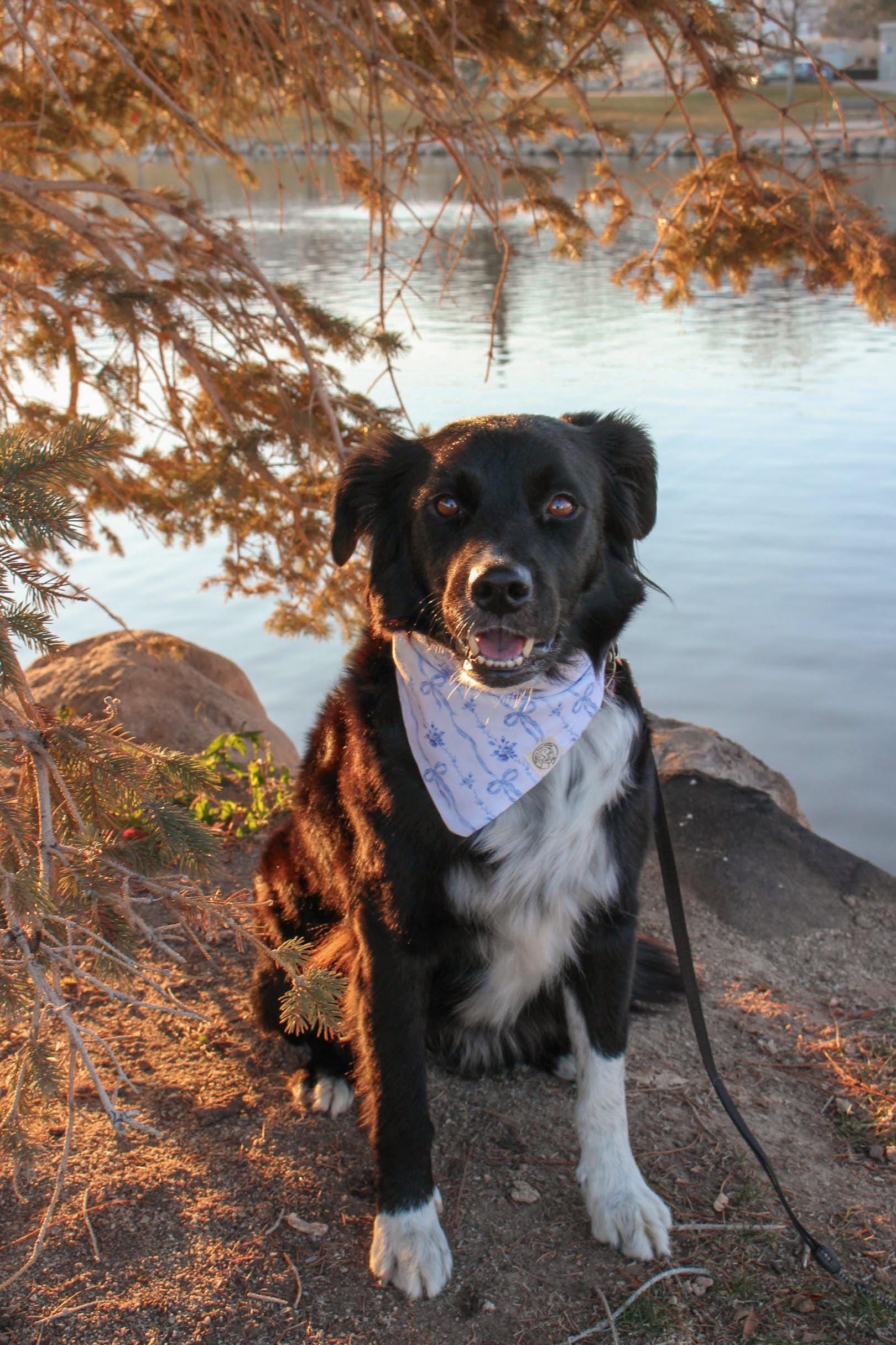 The Piper Bandana