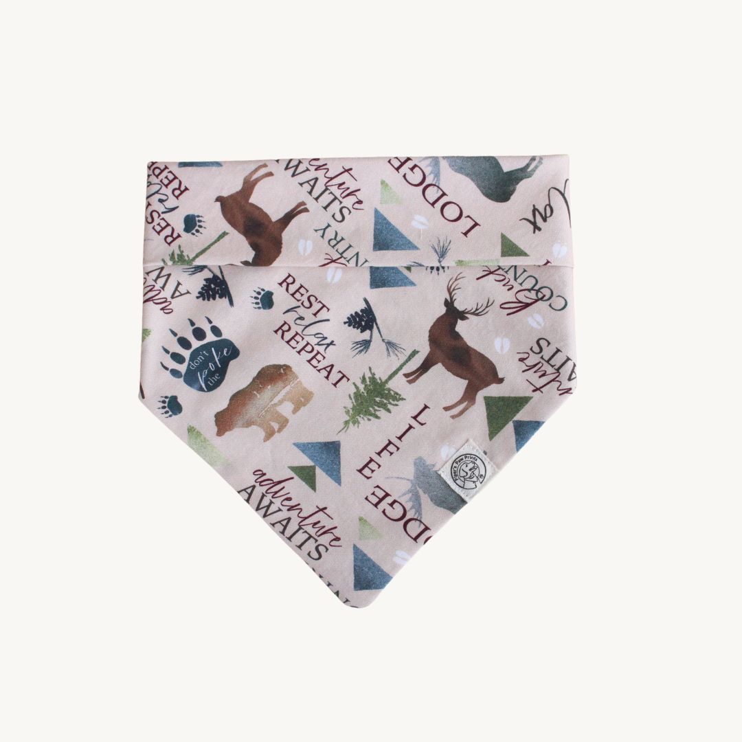 The Asher James Bandana