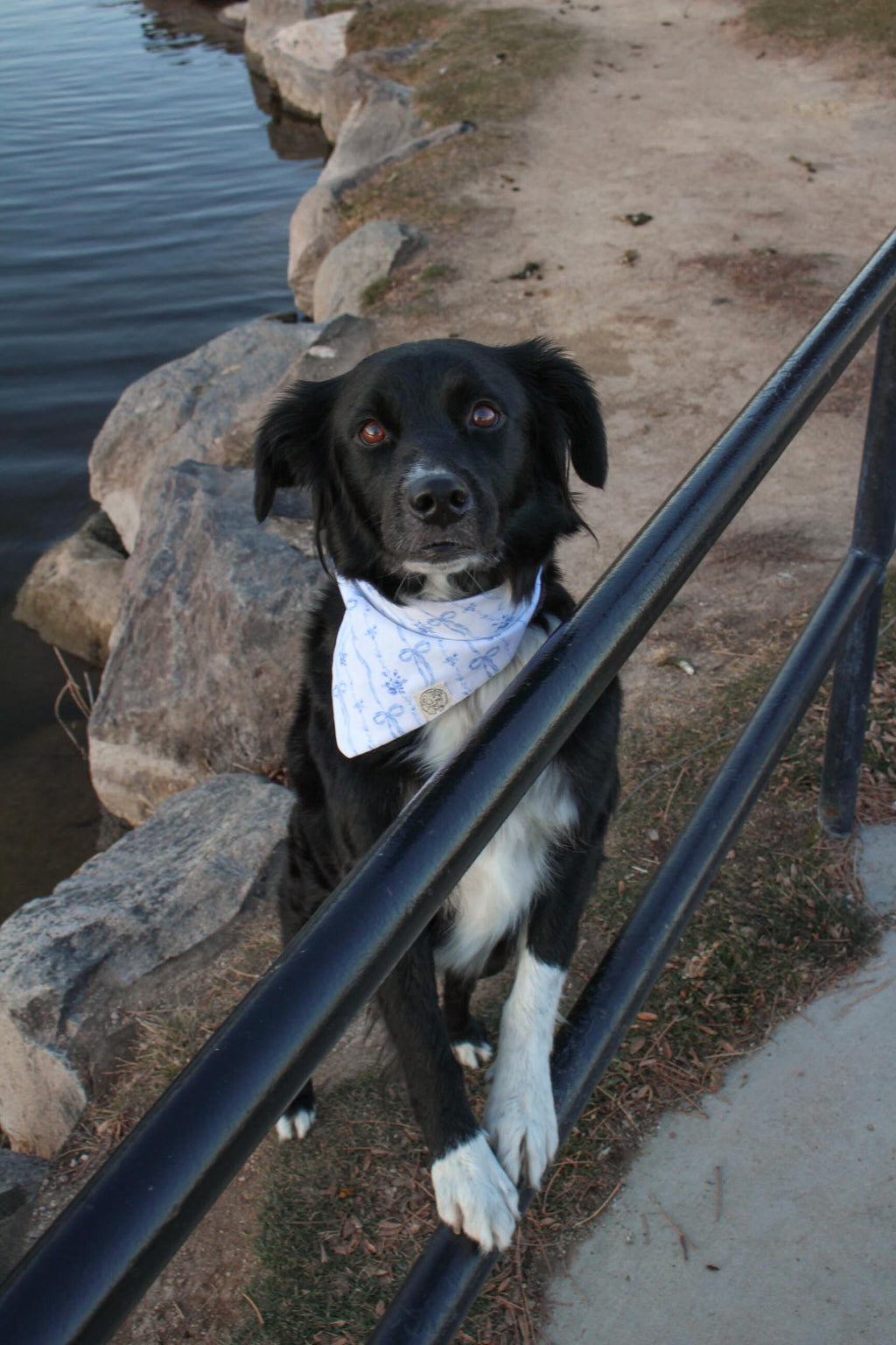 The Piper Bandana