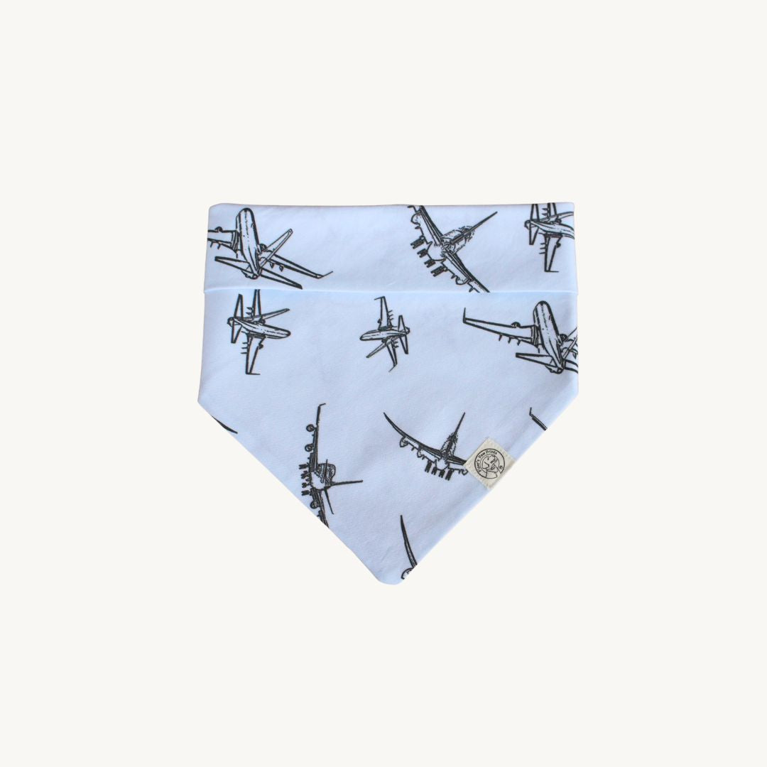 The Theodore Bandana