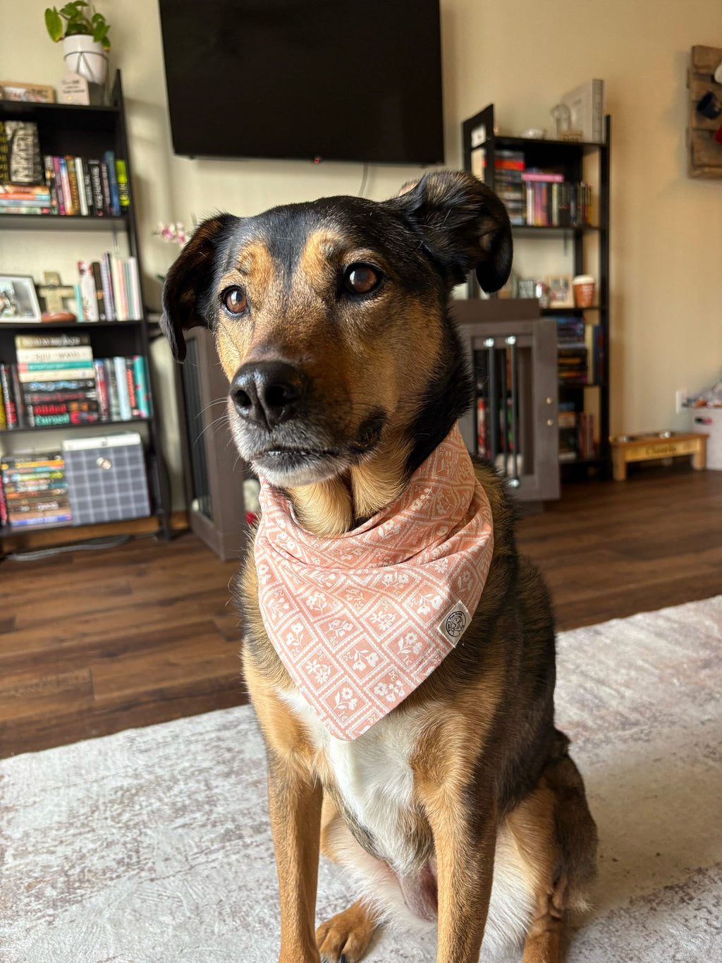 The Cheerio Bandana