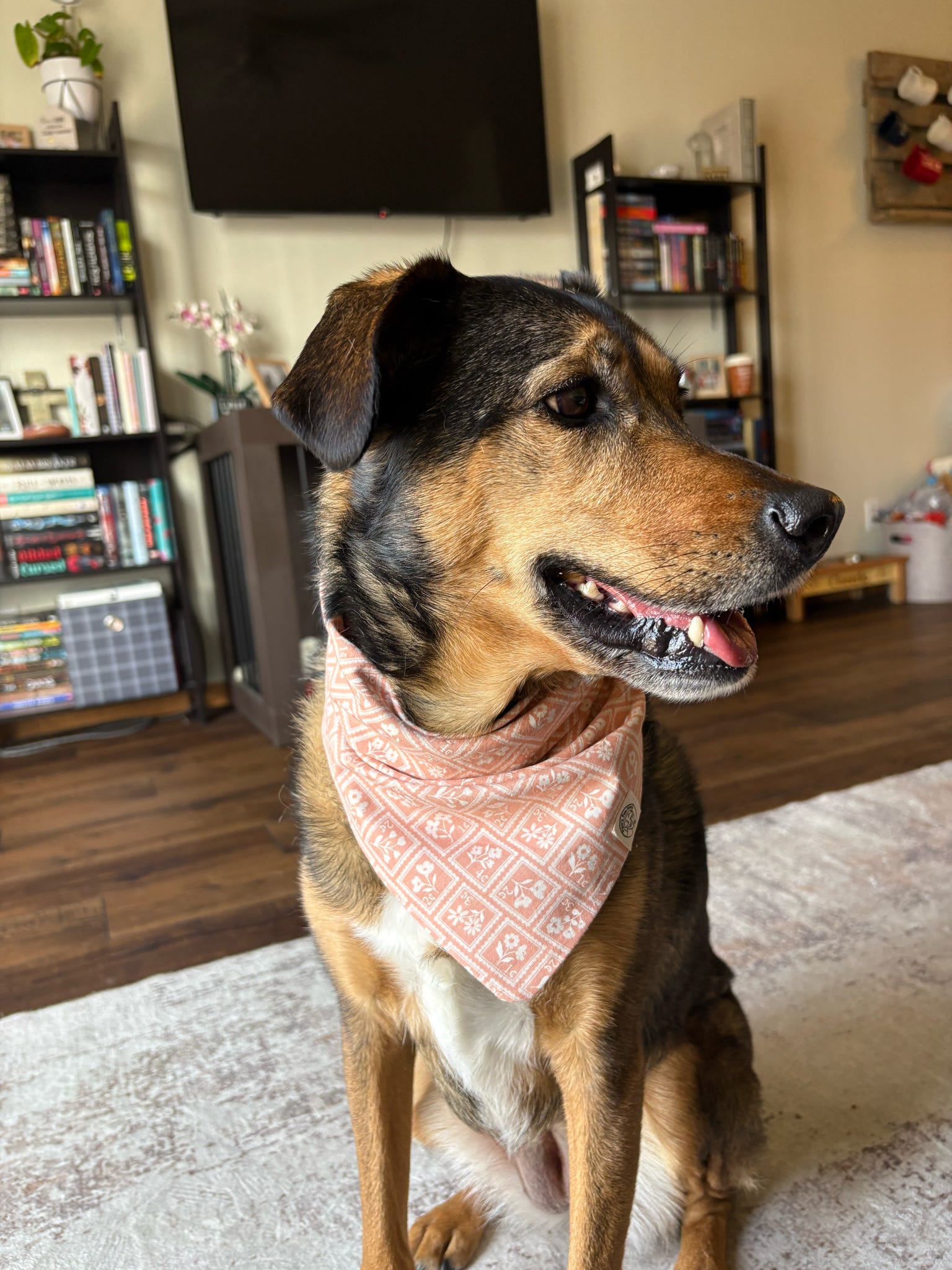 The Cheerio Bandana