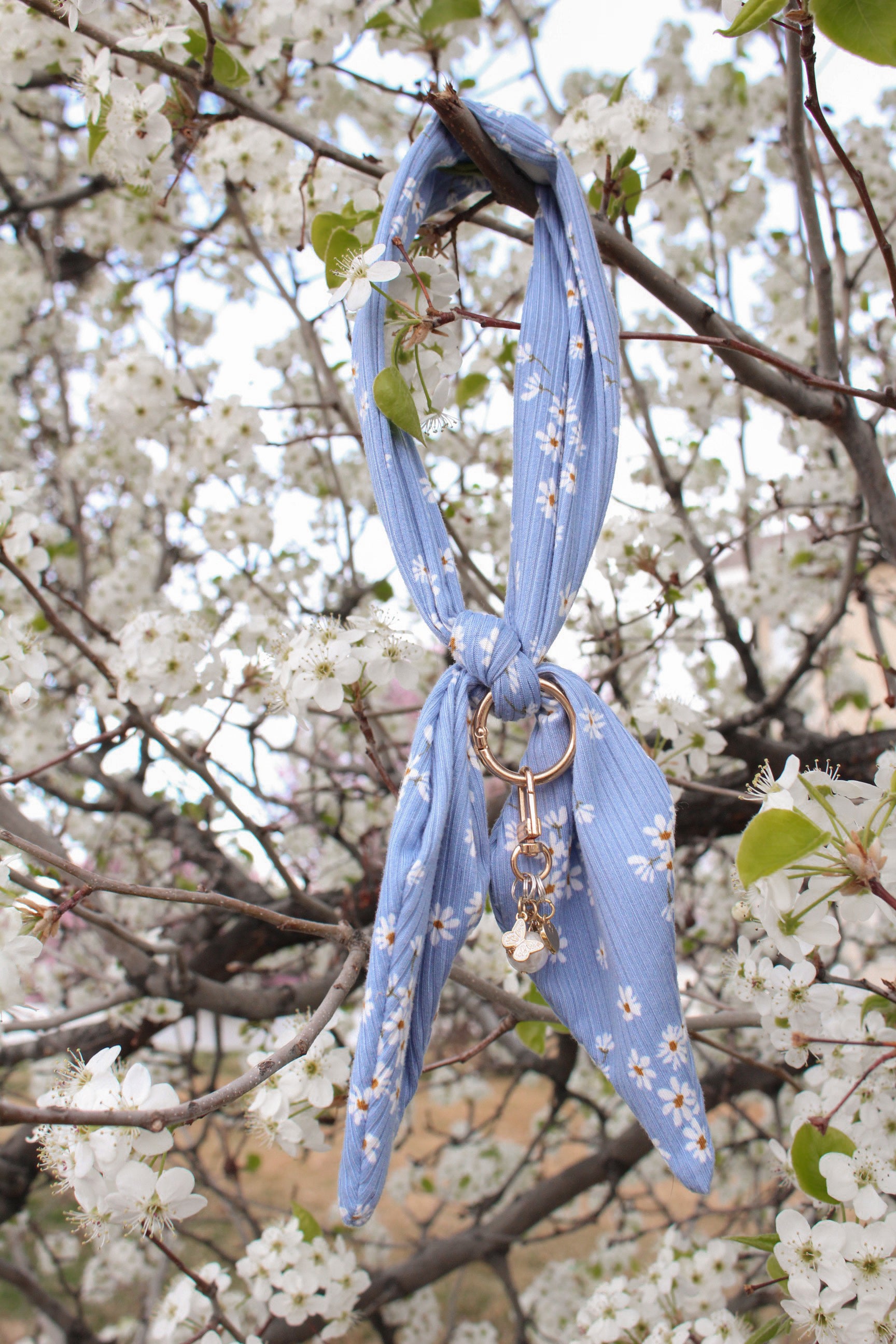 Blue Daisy Ascot