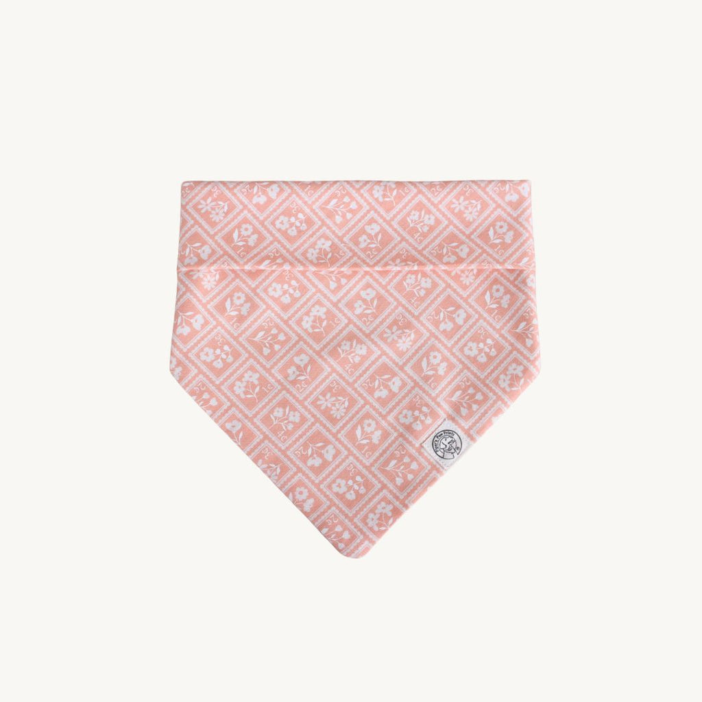 The Cheerio Bandana