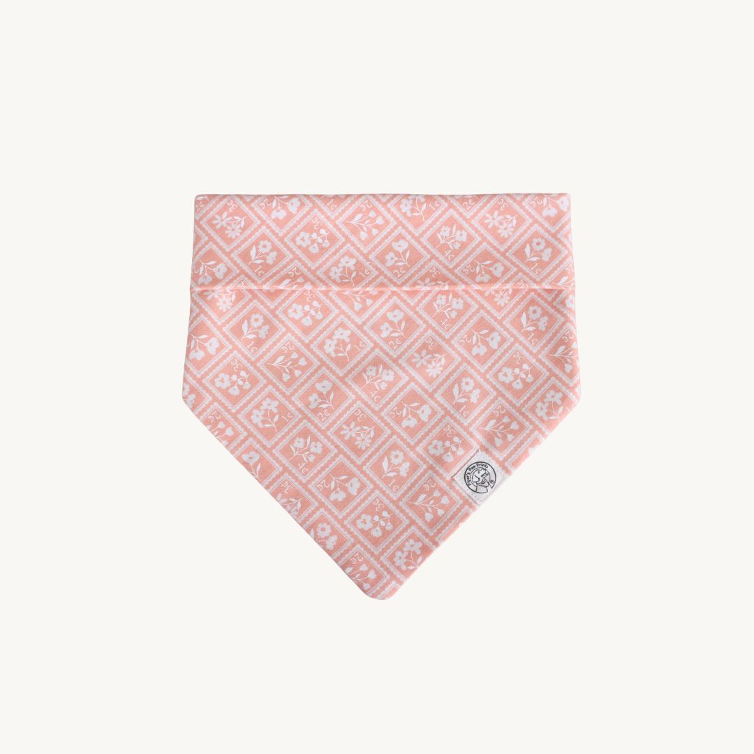 The Cheerio Bandana