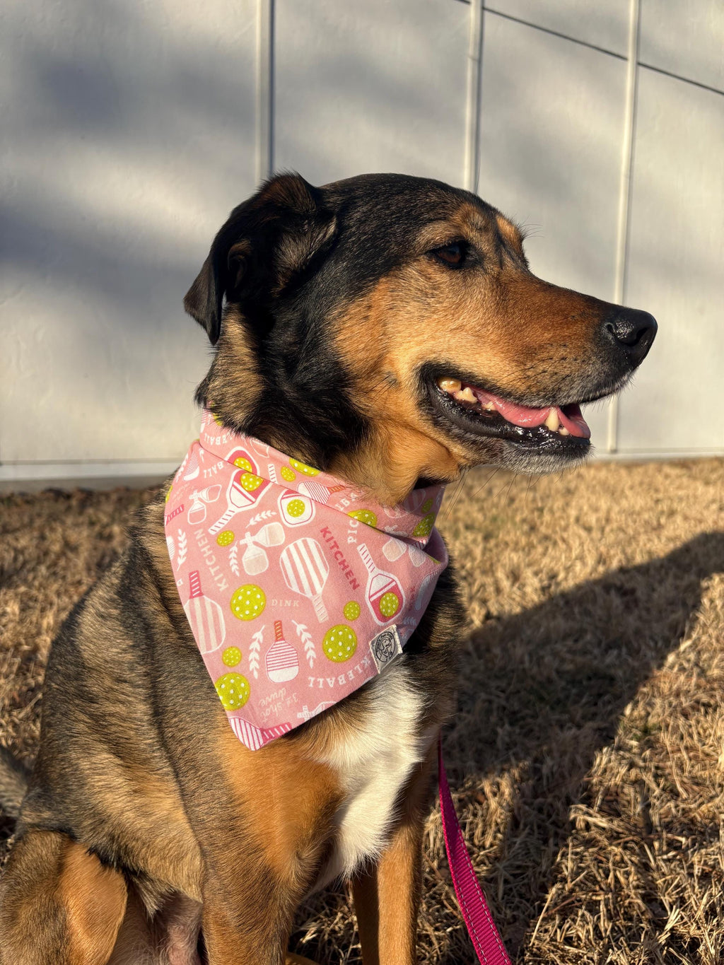 Pickleball Pup (Pink) Bandana