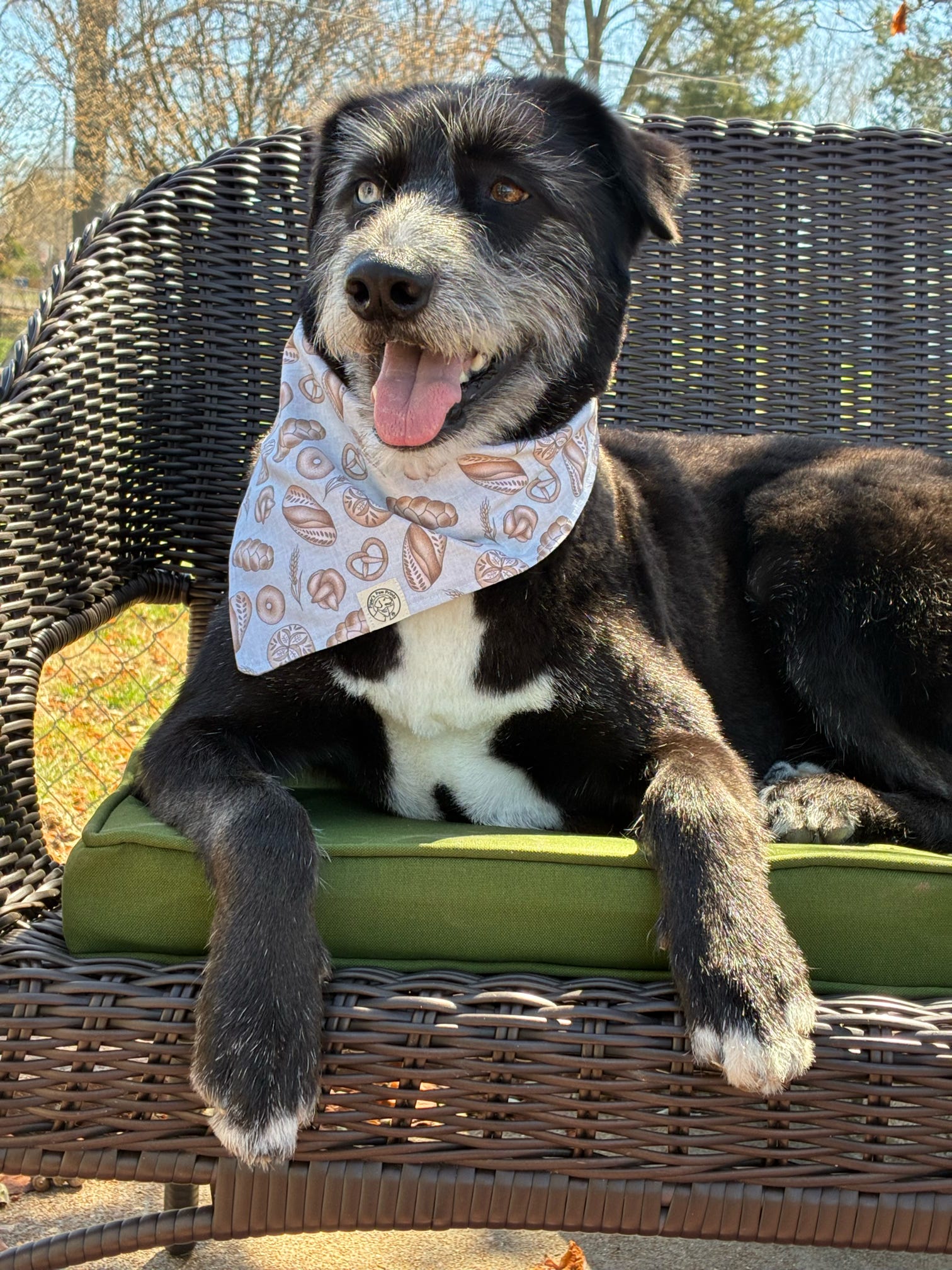 The Josie Bandana
