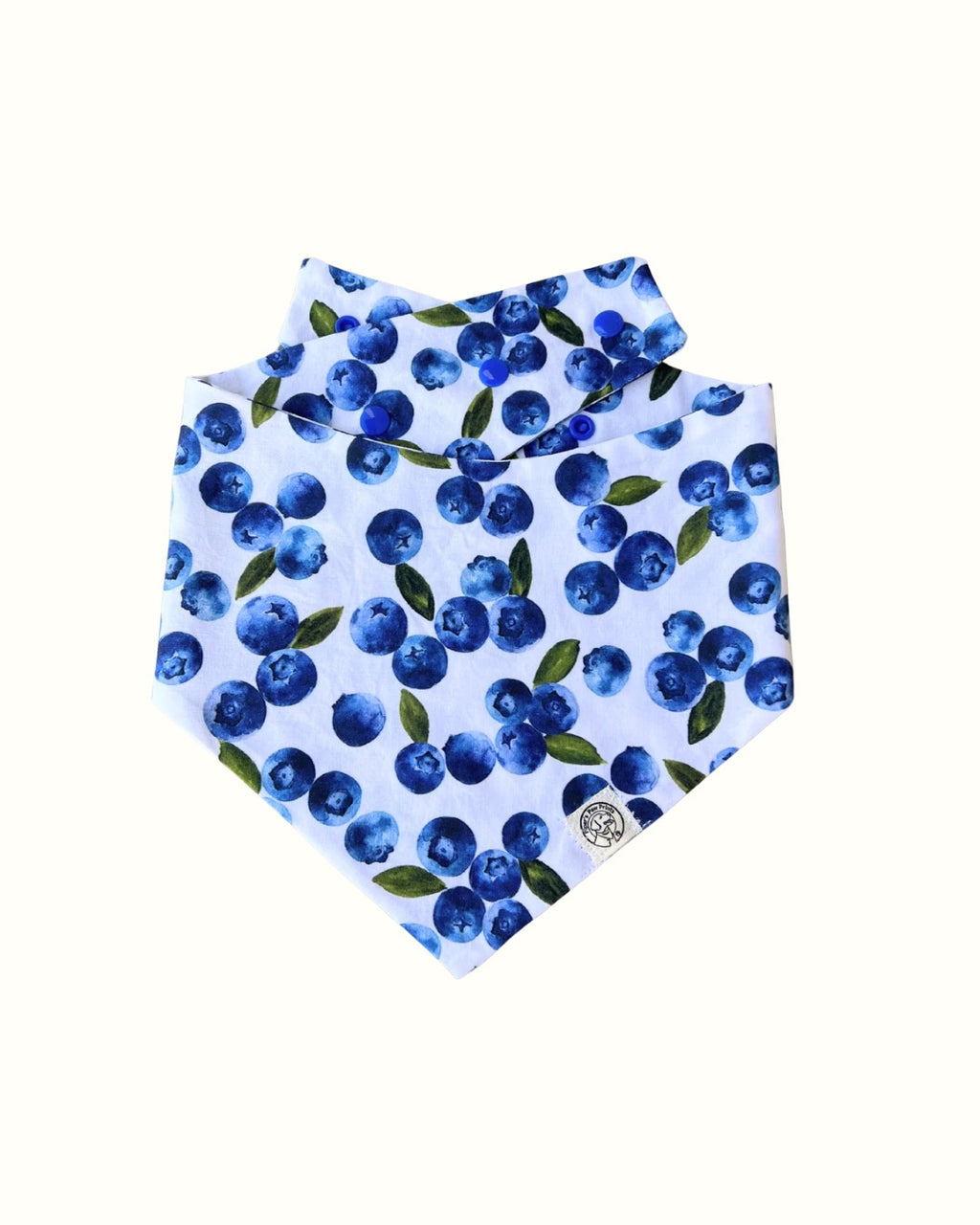 The Blue Bandana