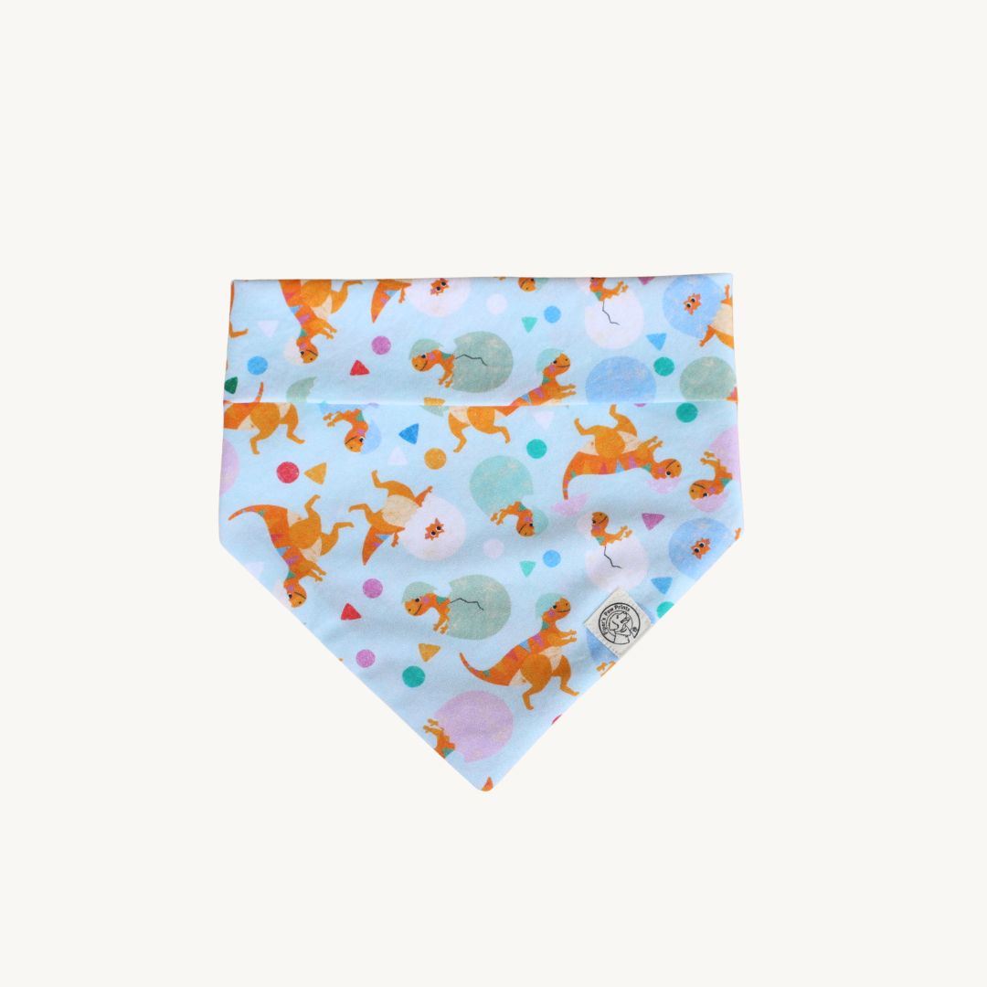 The Brooks Bandana