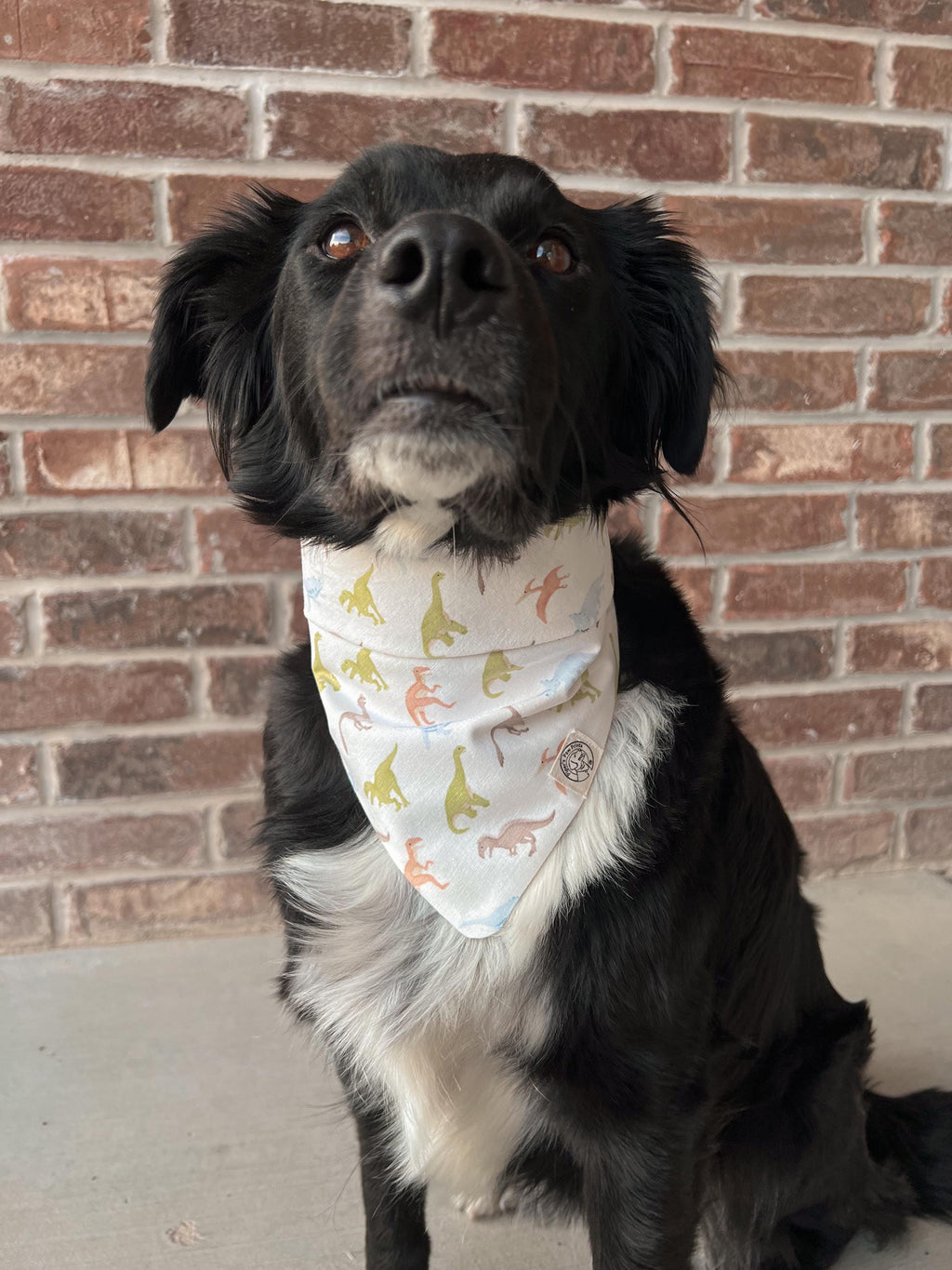 Jurassic Paws Bandana