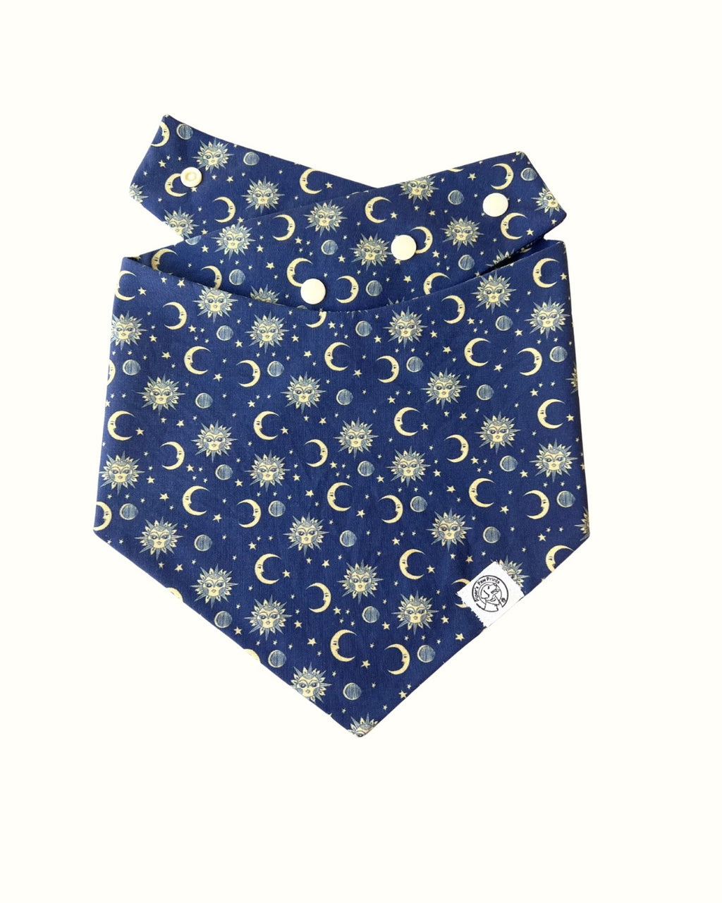 The Paisley Bandana