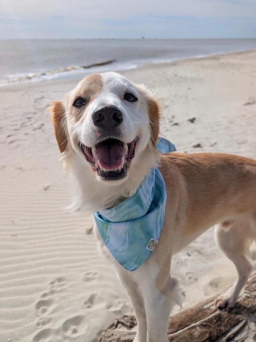 The Finley Bandana