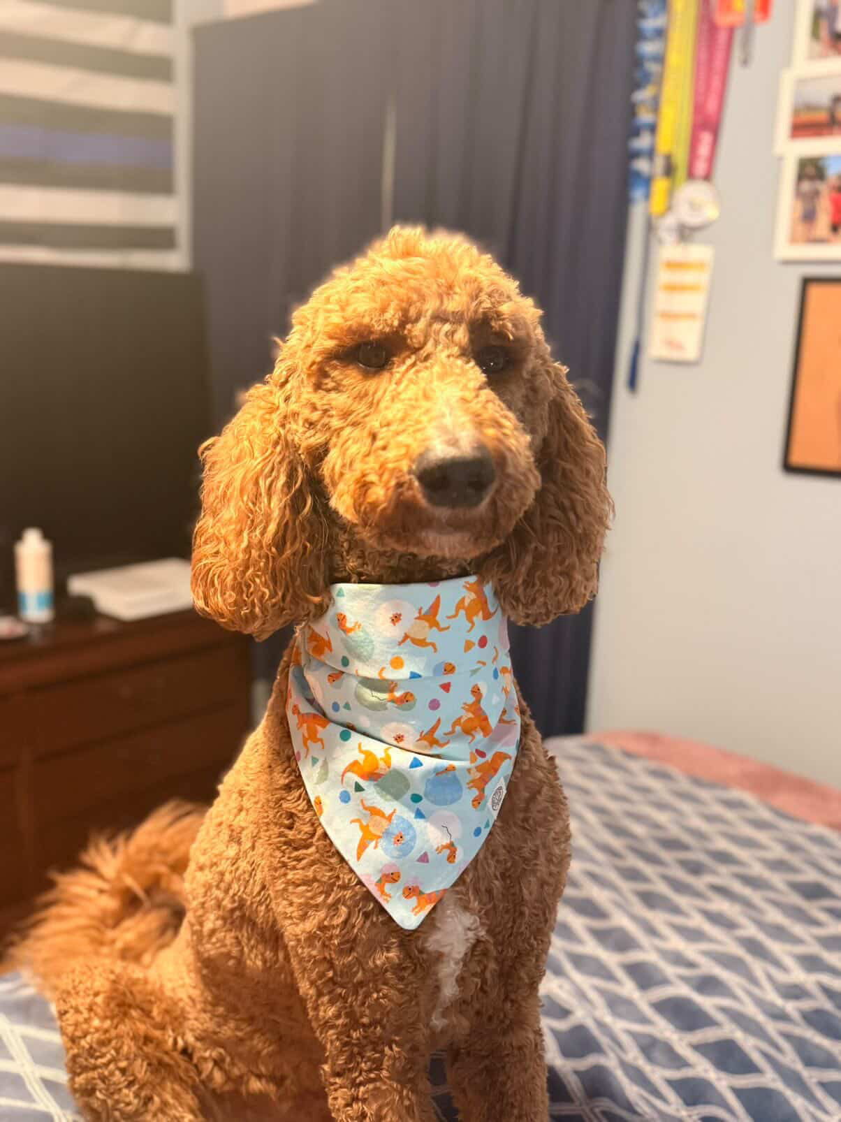 The Brooks Bandana