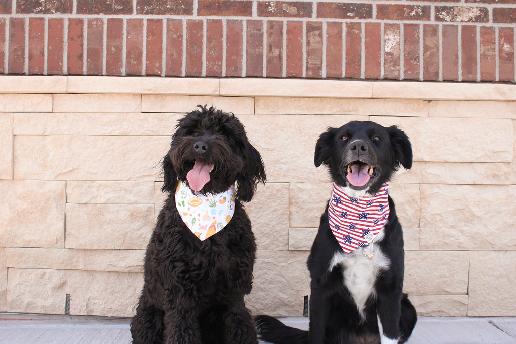Stars & Stripes Bandana