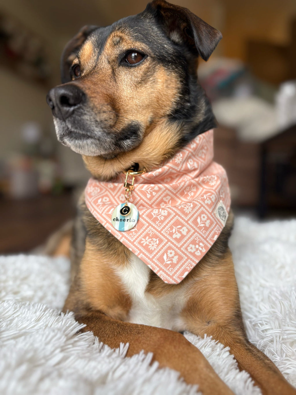 The Cheerio Bandana