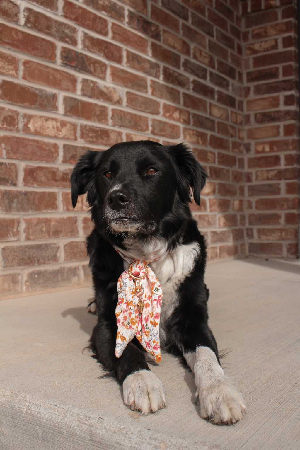 Spring Bloom Ascot