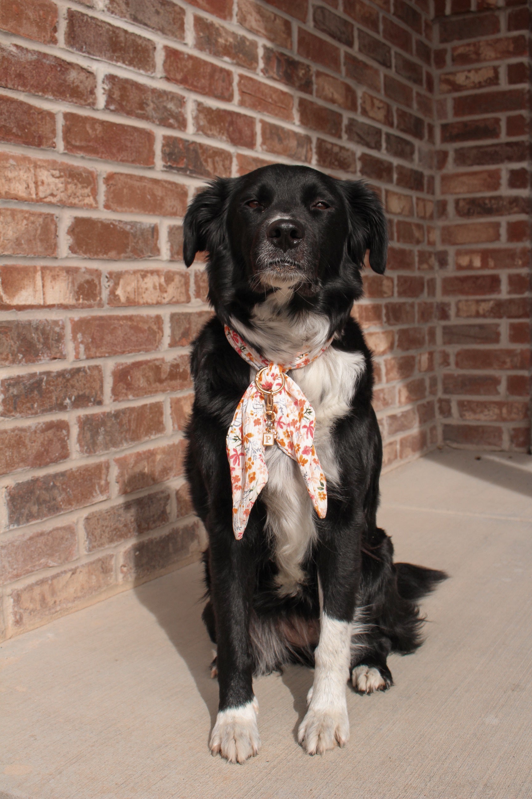 Spring Bloom Ascot