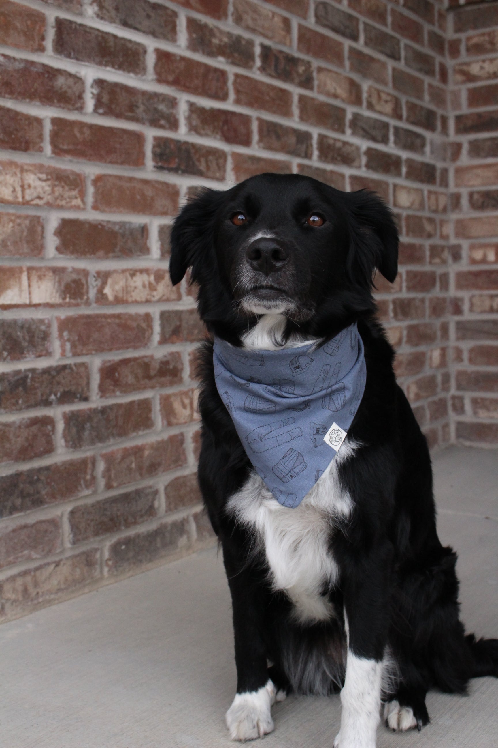 Canine Construction Co. Bandana