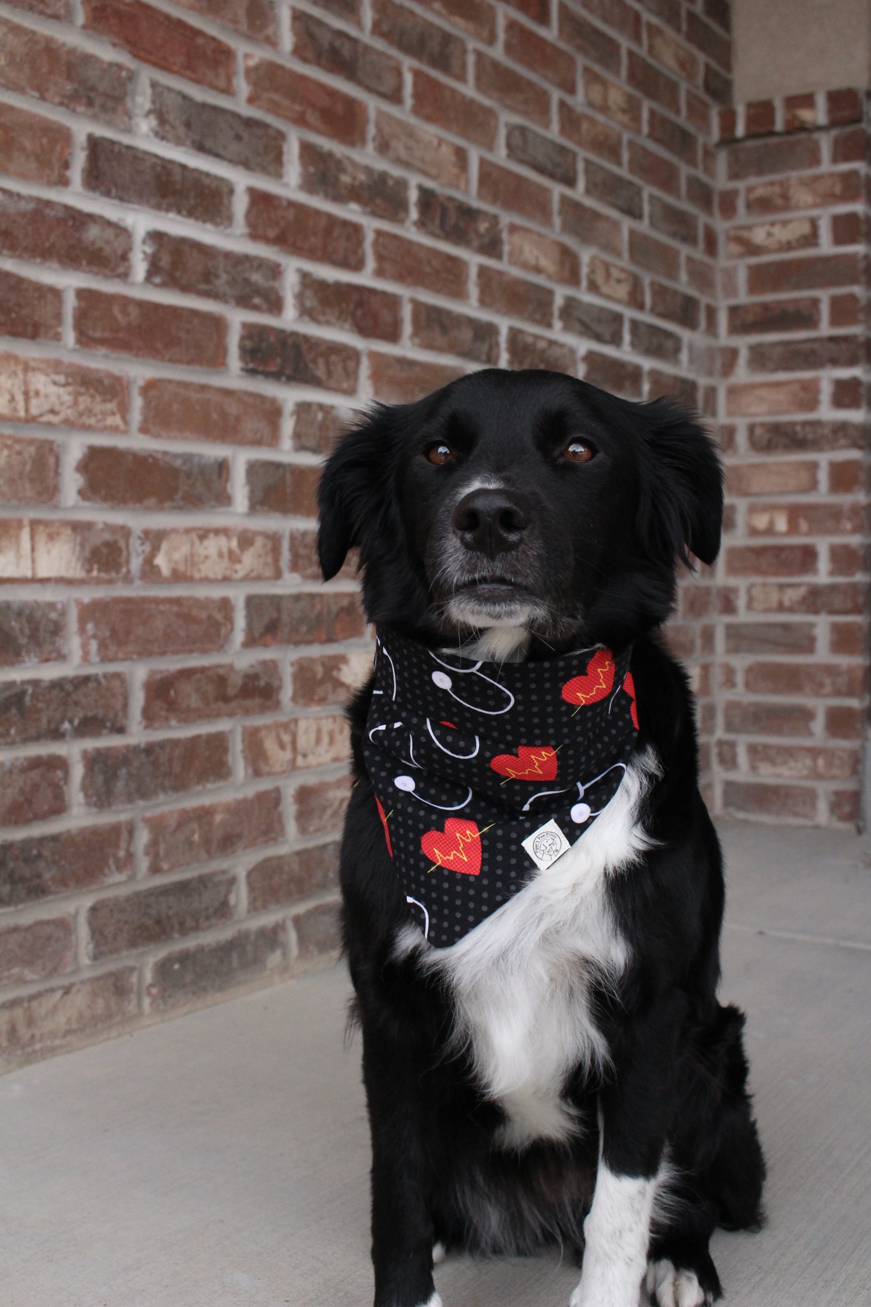 Healthcare Helper Bandana