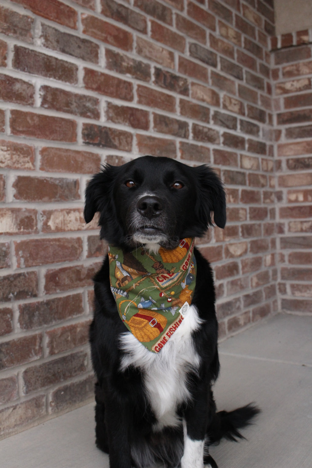Cabin Fever Bandana