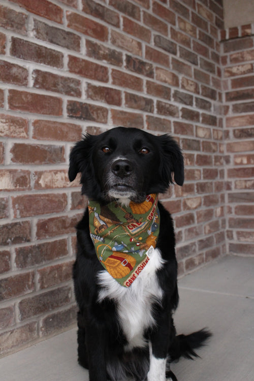 Cabin Fever Bandana