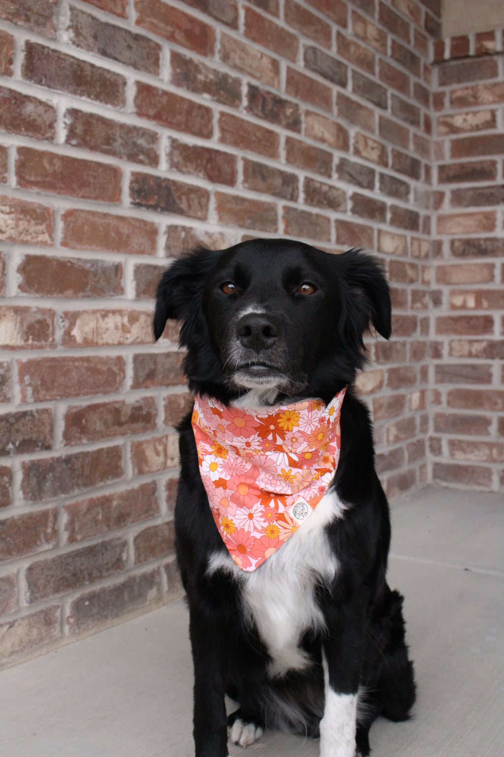 Groovy Garden Bandana