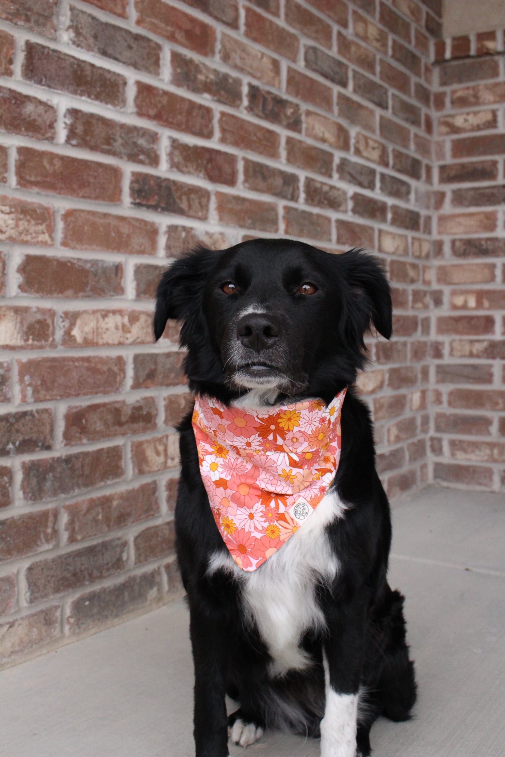 Groovy Garden Bandana