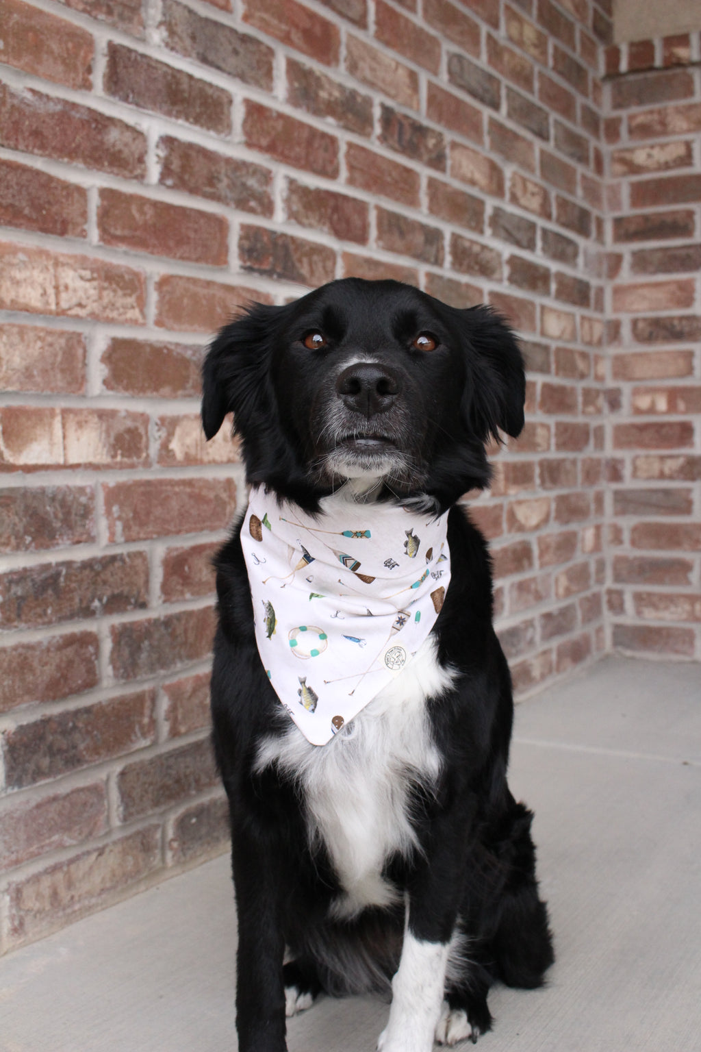 The Lincoln Bandana