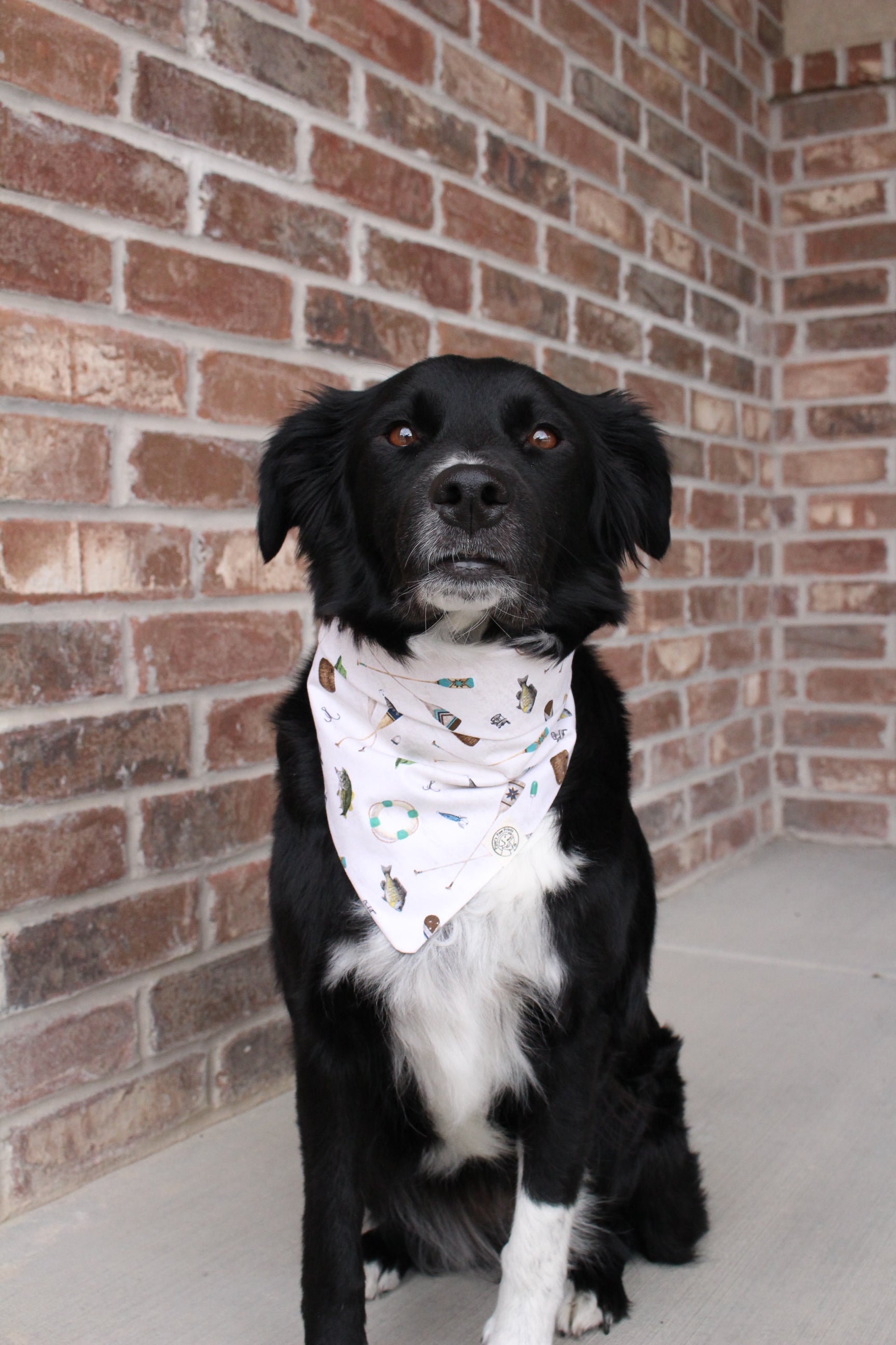 The Lincoln Bandana