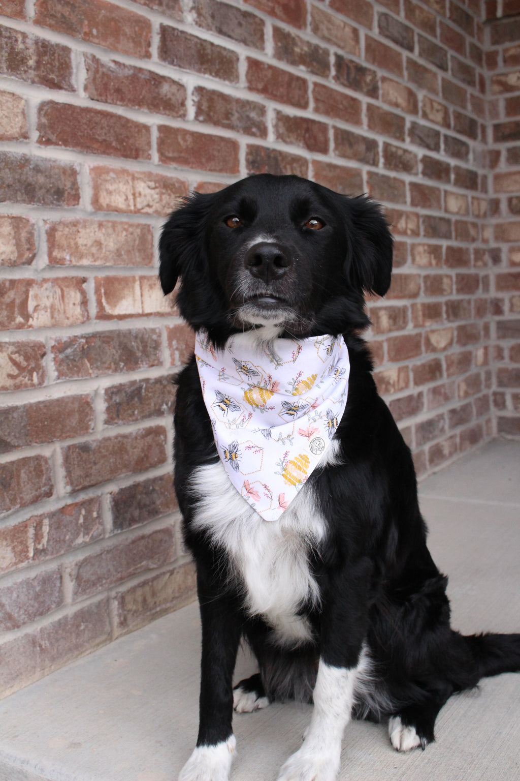 The Winnie Bandana