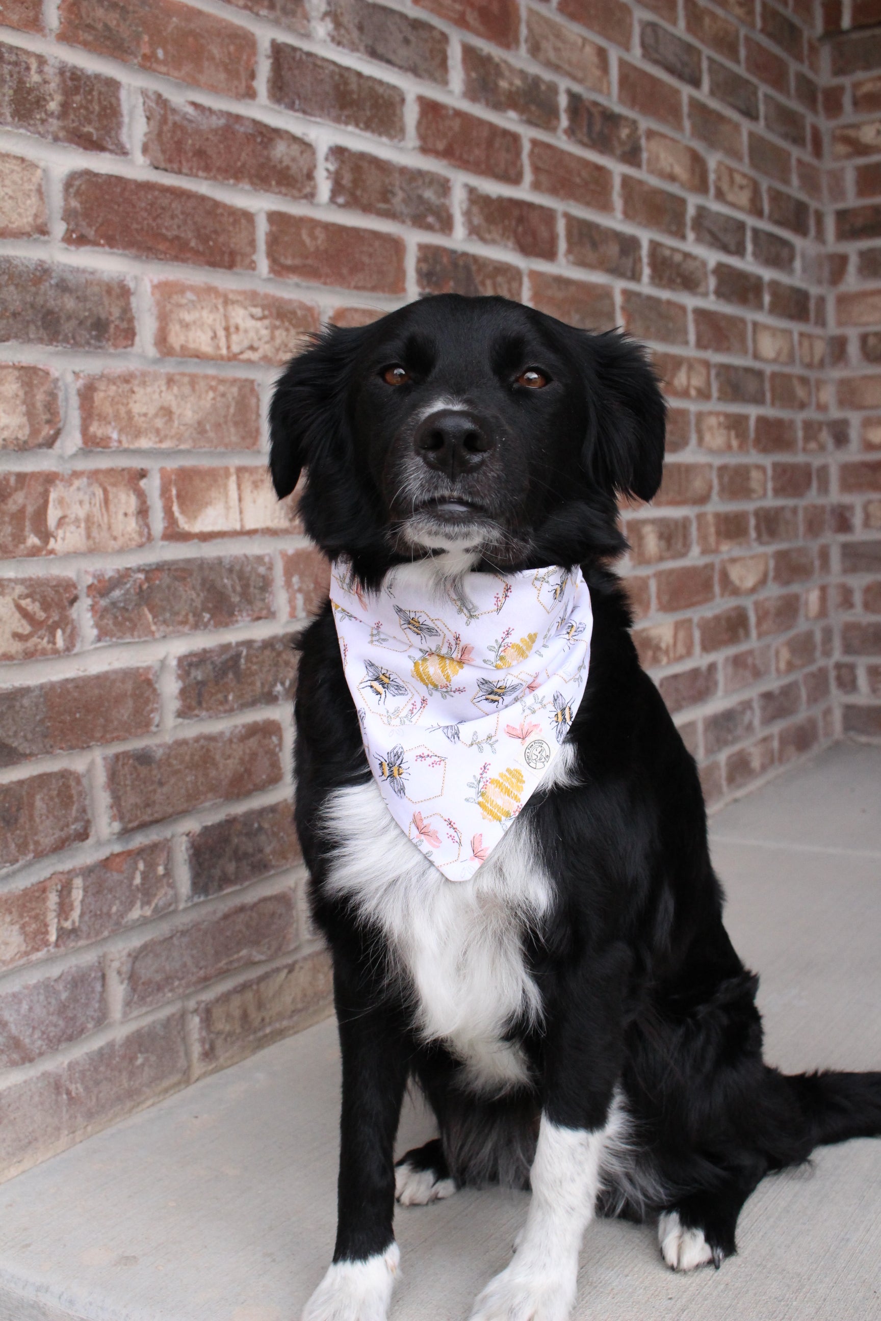 The Winnie Bandana