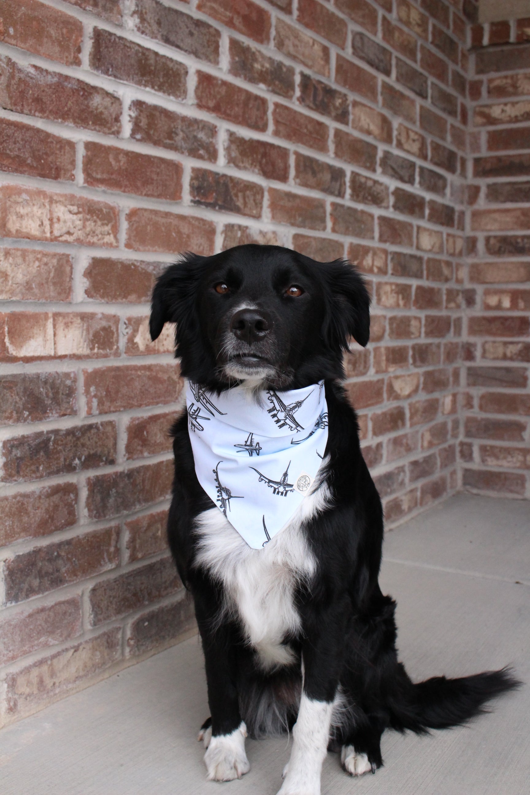 The Theodore Bandana