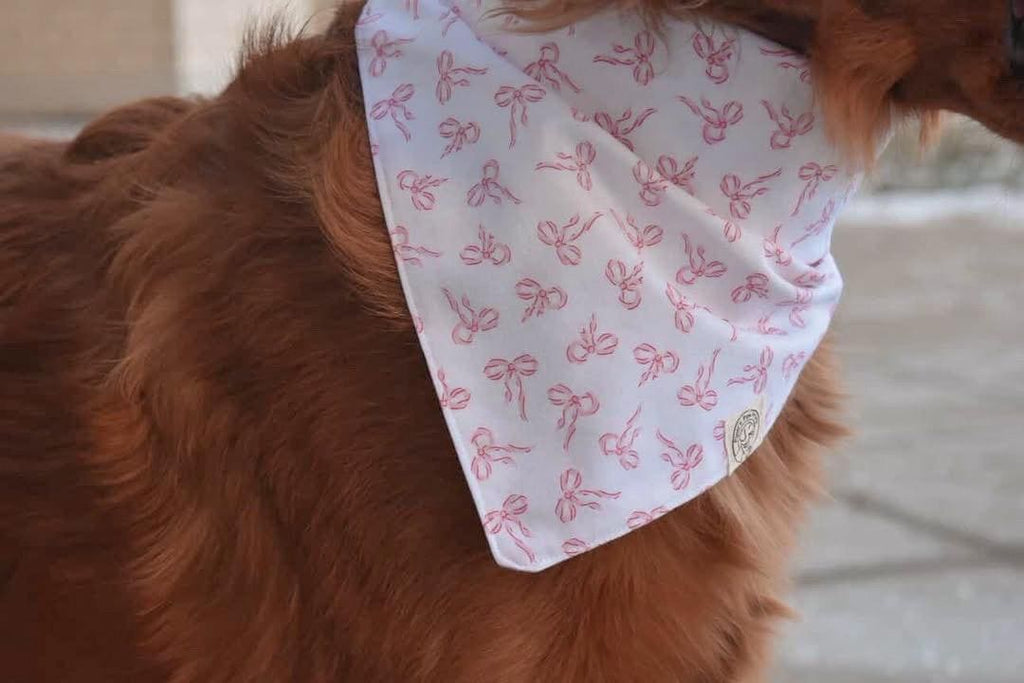 The Nala Bandana