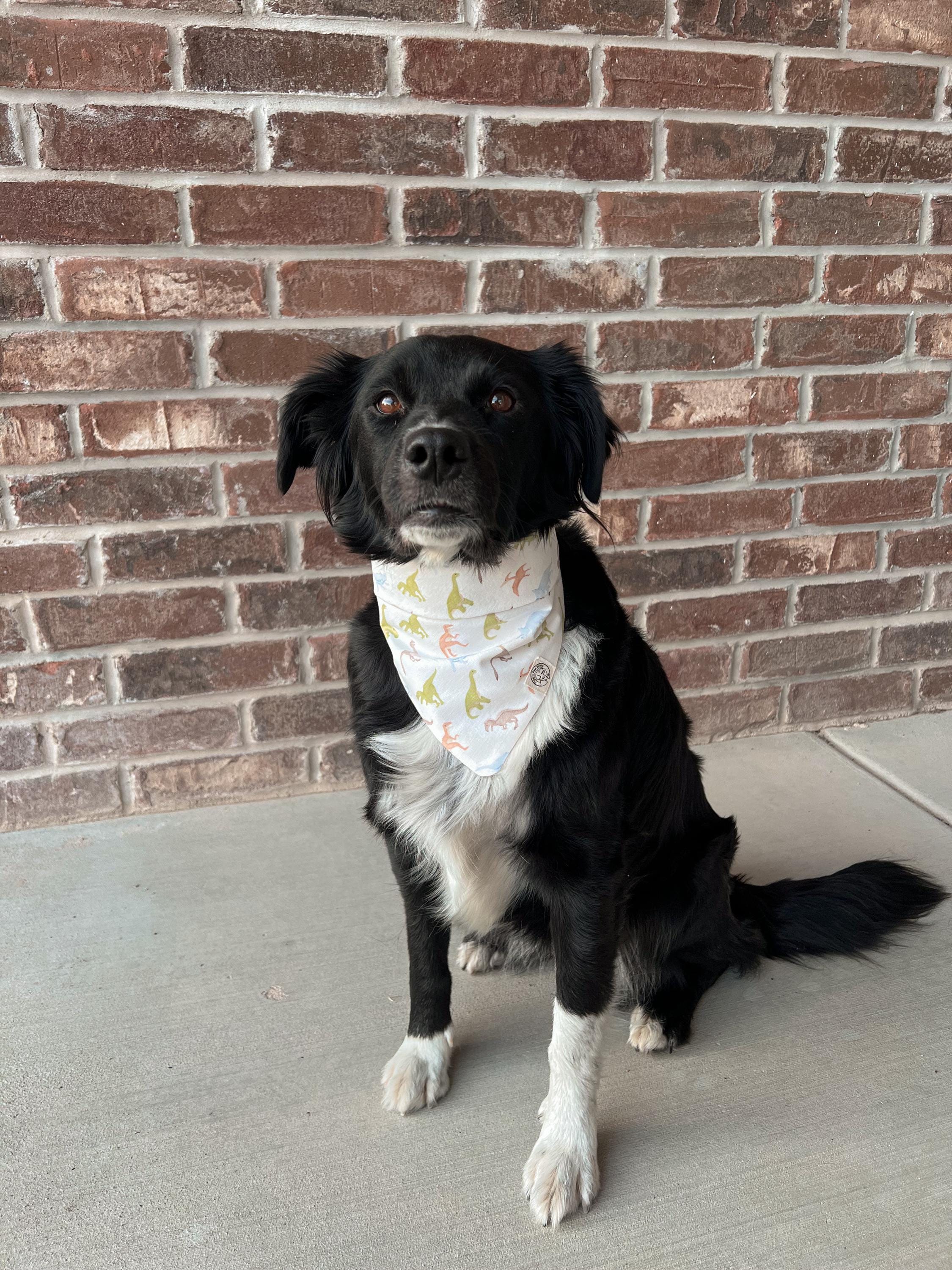Jurassic Paws Bandana