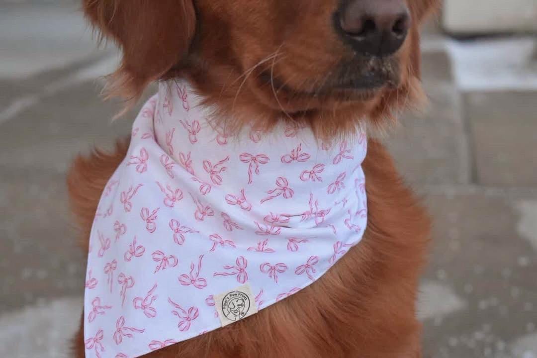 The Nala Bandana