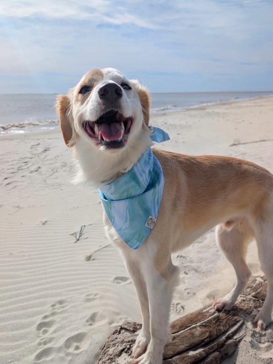The Finley Bandana